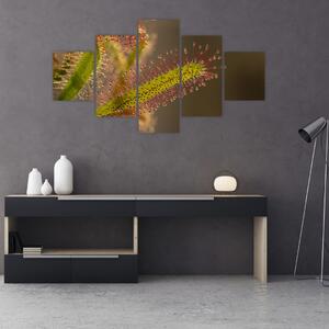 Obraz rostliny (125x70 cm)