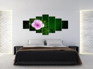 Obraz růžového květu (210x100 cm)
