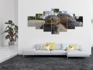 Obraz želvy (210x100 cm)