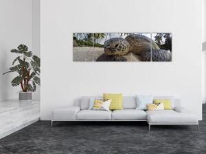 Obraz želvy (170x50 cm)