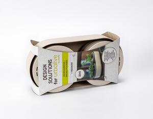 Velká farma Microgreens+Regrow - slonová kost s kávovou sedlinou