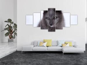 Obraz sněžné lišky (210x100 cm)