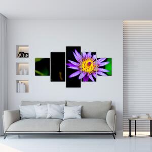Obraz květiny (125x70 cm)