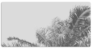 Pracovní podložka na stůl Palmové stromy proti obloze
