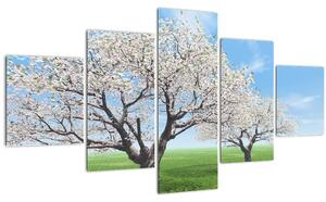 Obraz stromů (125x70 cm)