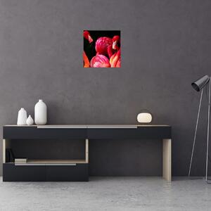 Obraz červených plameňáků (30x30 cm)