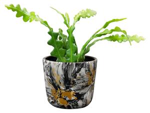 Ter Steege Pod Marigold ash D7 H7