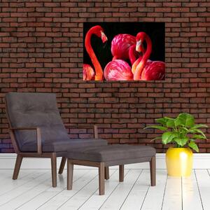 Obraz červených plameňáků (70x50 cm)