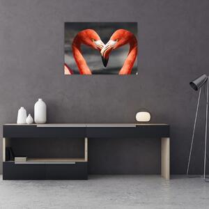 Obraz dvou zamilovaných plameňáků (70x50 cm)