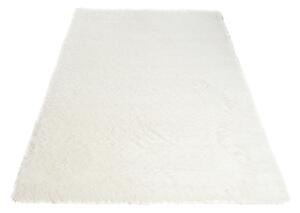 Lehký měkký kusový koberec SHAGGY SKANDY SD0060 - 120x170 cm