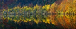 Umělecká fotografie Autumnal silence, Burger Jochen, (60 x 23.2 cm)