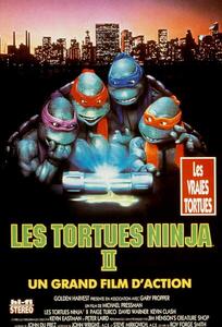 Umělecká fotografie Ninja Turtles II, 1991, (26.7 x 40 cm)