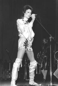 Umělecká fotografie David Bowie on Stage (Ziggy Stardust Tour) 1973, (26.7 x 40 cm)