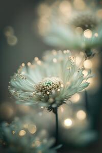 Umělecká fotografie Mint Flower, Treechild, (26.7 x 40 cm)