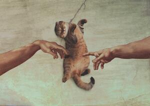 Ilustrace Touch of the Kitty, Artem Pozdniakov, (40 x 30 cm)
