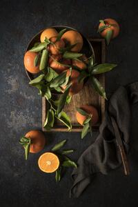 Umělecká fotografie Oranges, Diana Popescu, (26.7 x 40 cm)