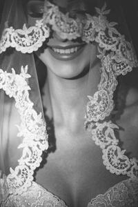 Umělecká fotografie Smiling bride under the elegant translucent veil, Victor Dyomin, (26.7 x 40 cm)