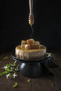 Umělecká fotografie Baklava cheesecake and honey comb, Diana Popescu, (26.7 x 40 cm)