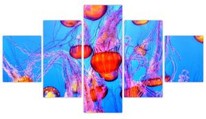Obraz medúz v moři (125x70 cm)