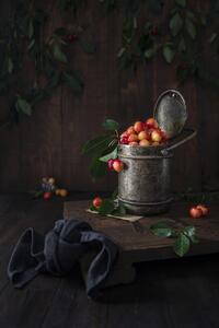 Umělecká fotografie Yellow cherries, Diana Popescu, (26.7 x 40 cm)