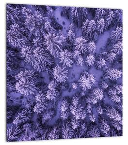 Obraz zasněžených stromů (30x30 cm)