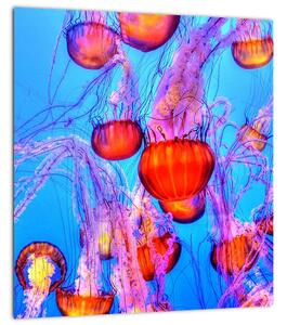 Obraz medúz v moři (30x30 cm)
