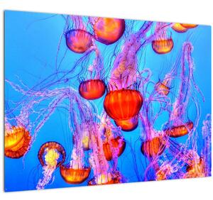 Obraz medúz v moři (70x50 cm)