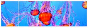 Obraz medúz v moři (170x50 cm)