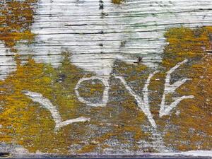 Umělecká fotografie Love Text In Lichen, liveslow, (40 x 30 cm)