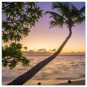 Obraz palmy na pláži (30x30 cm)