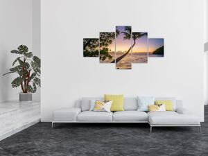 Obraz palmy na pláži (125x70 cm)