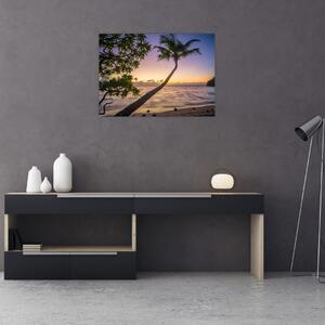 Obraz palmy na pláži (70x50 cm)