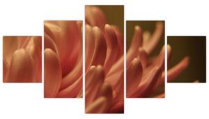 Obraz detailu květiny (125x70 cm)