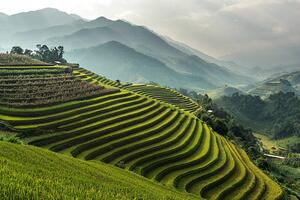 Umělecká fotografie Rice fields on terraced of Mu, wiratgasem, (40 x 26.7 cm)