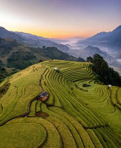 Umělecká fotografie Rice fields on terraced prepare the, Vu Viet Dung, (35 x 40 cm)