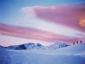 Umělecká fotografie Group Snowshoeing in Snow, David Trood, (40 x 30 cm)