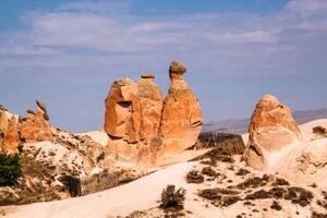 Umělecká fotografie Camel Rockin Devrent Valley at Cappadocia., Newlander90, (40 x 26.7 cm)