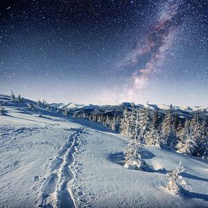 Umělecká fotografie starry sky in winter snowy night., standret, (40 x 40 cm)