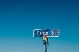 Fotografie American road sign displaying 'Pride Street', Catherine Falls Commercial, (40 x 26.7 cm)