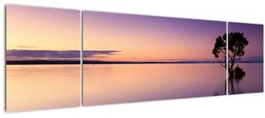 Obraz vodní hladiny při východu slunce (170x50 cm)
