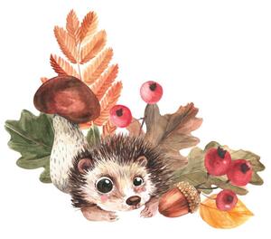 Umělecká fotografie Corner composition of hedgehog, mushrooms, falling, Tatyana Apt, (40 x 40 cm)