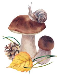 Umělecká fotografie Porcini mushrooms with autumn leaves, snail, Marina Skryzhova, (40 x 40 cm)