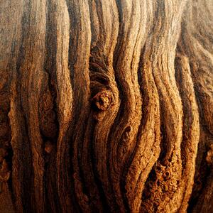 Umělecká fotografie Image Of Tree Bark Texture, Nenov, (40 x 40 cm)