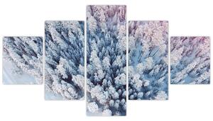 Obraz zasněžených stromů (125x70 cm)