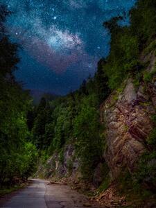 Umělecká fotografie Trees by road against sky at night,Romania, Daniel Ion / 500px, (30 x 40 cm)
