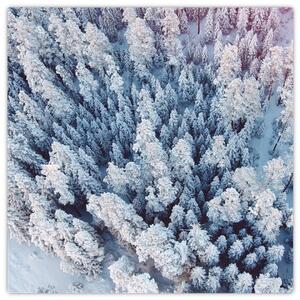 Obraz zasněžených stromů (30x30 cm)