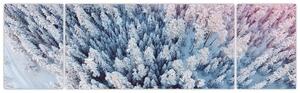 Obraz zasněžených stromů (170x50 cm)