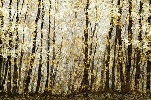 Ilustrace Forest filed with golden autumn leaves, Andrew Bret Wallis