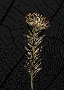 Ilustrace Minimalist botanical illustration. Golden outline of, Elena Makarova