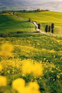 Umělecká fotografie Tuscany, springtime in the afternoon. Path,, Francesco Riccardo Iacomino, (26.7 x 40 cm)